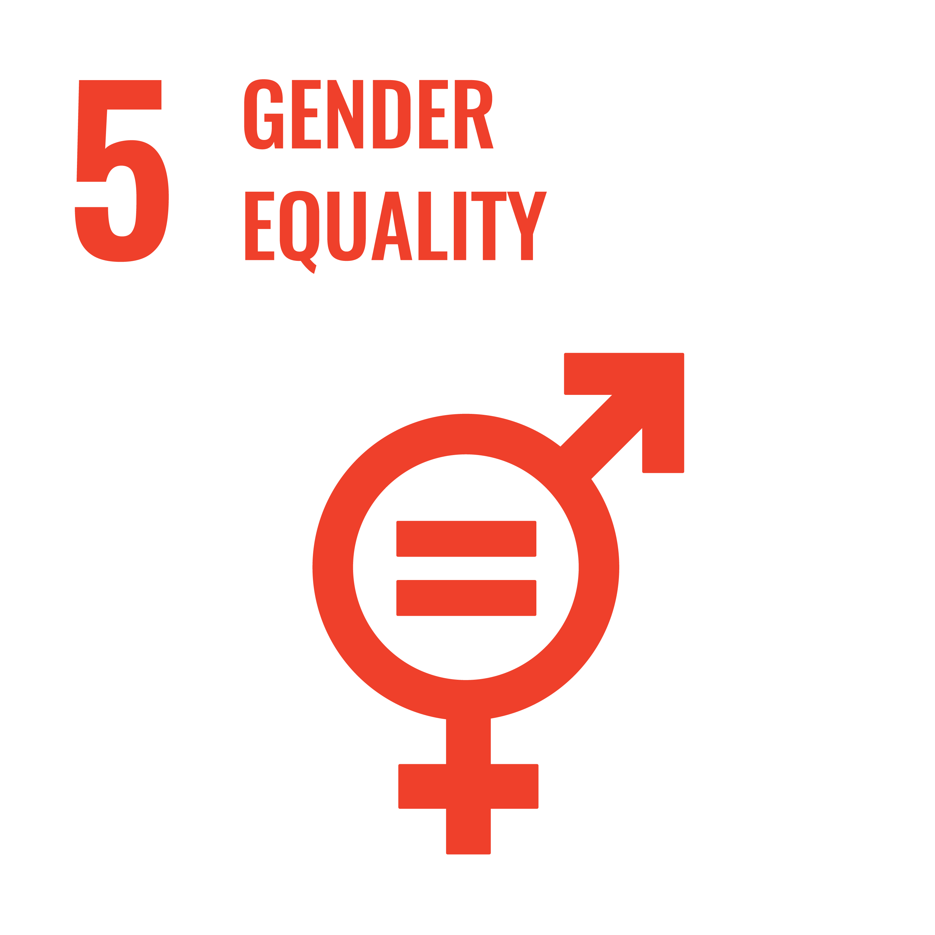 Sustainable development goal 5 - logo